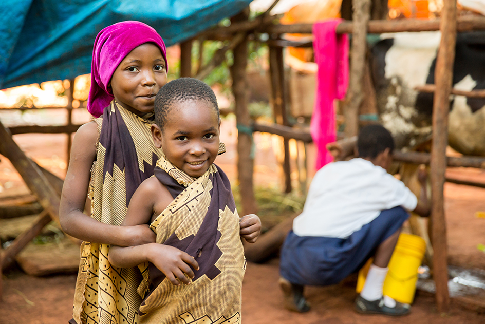 Building Livelihoods